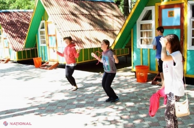 ” В лицее будет работать детский лагерь. “